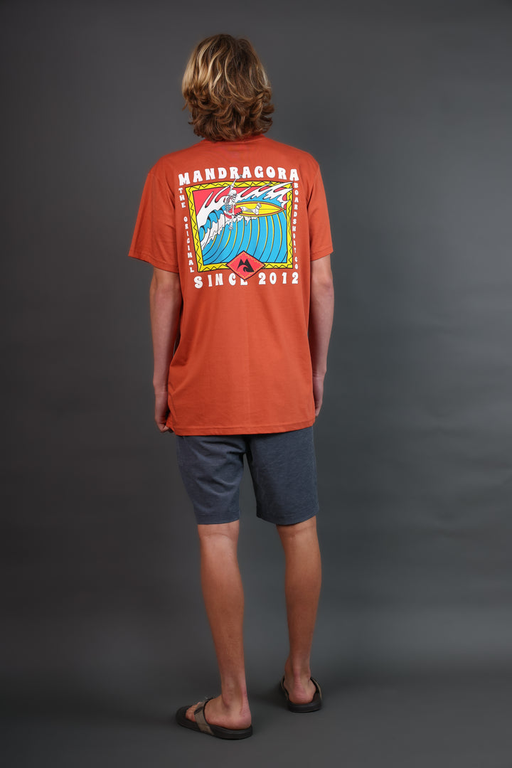 Tees regular fit. Retro Surf
