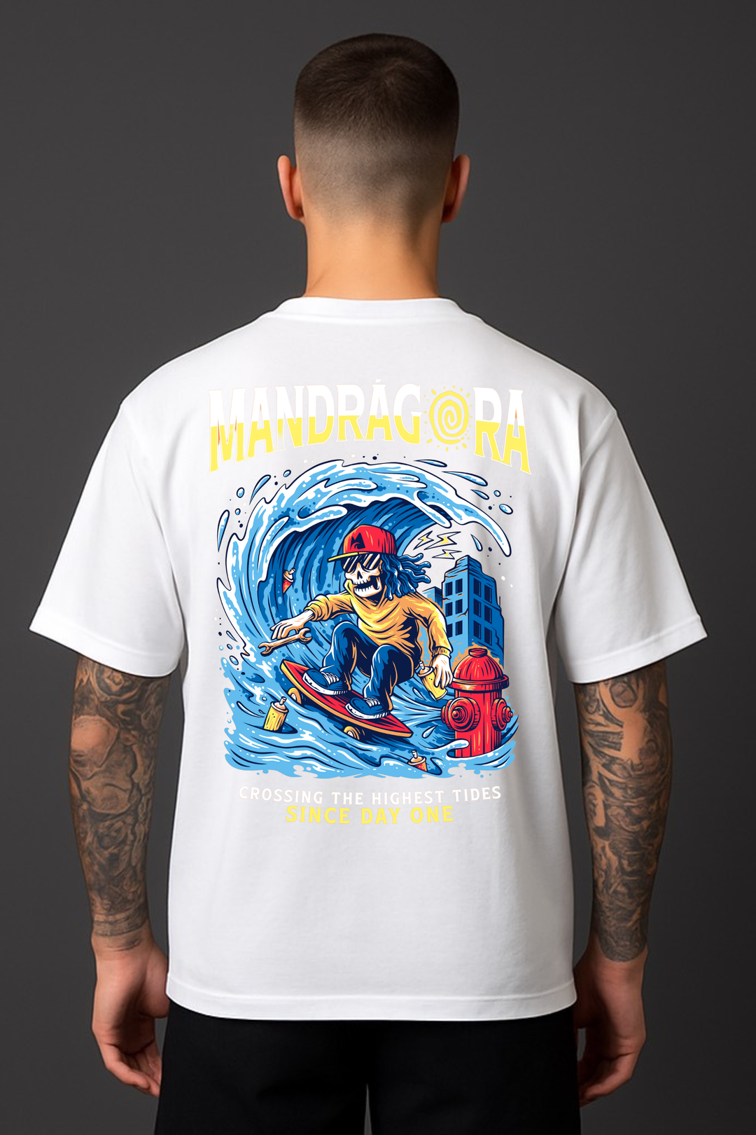 TEES BOX FIT SKATER WAVE 20/1