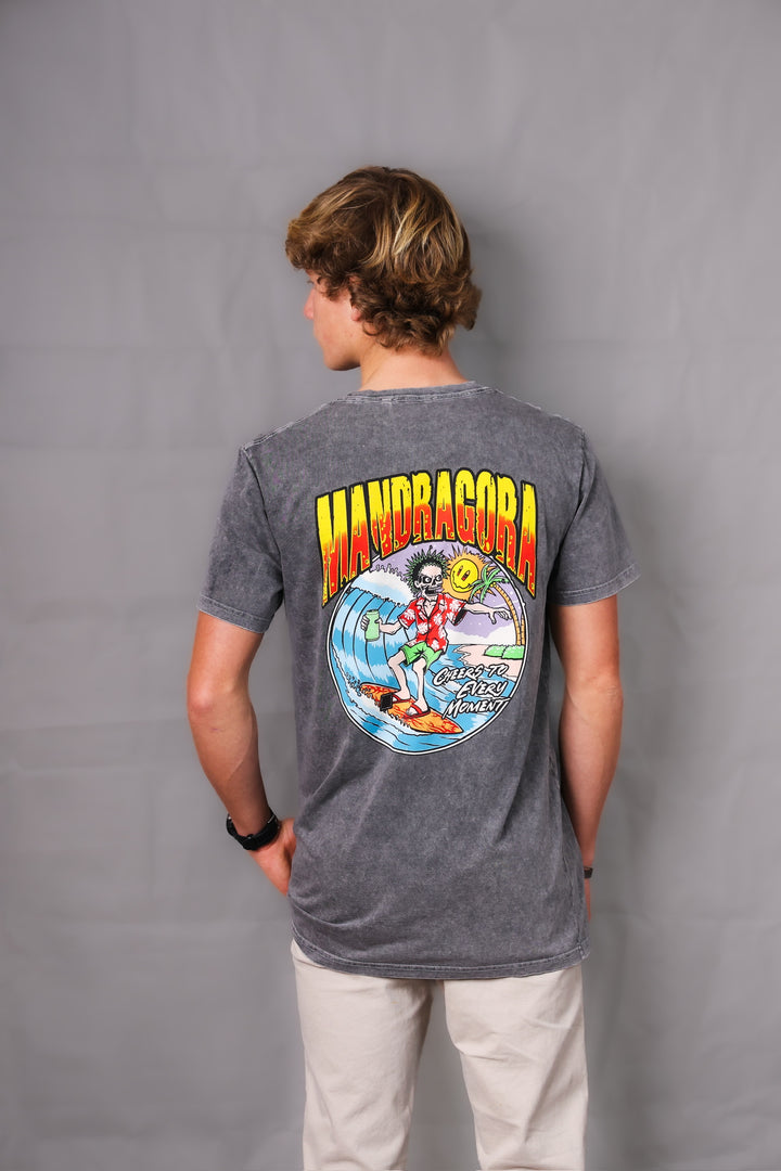 TS RF AW FLOW RADICAL