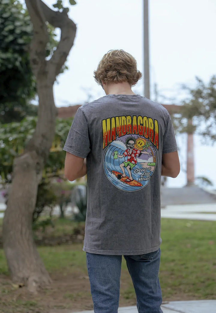 TS RF AW FLOW RADICAL