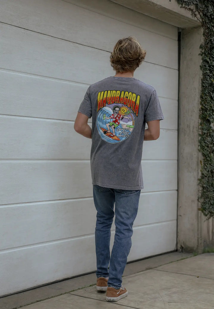 TS RF AW FLOW RADICAL