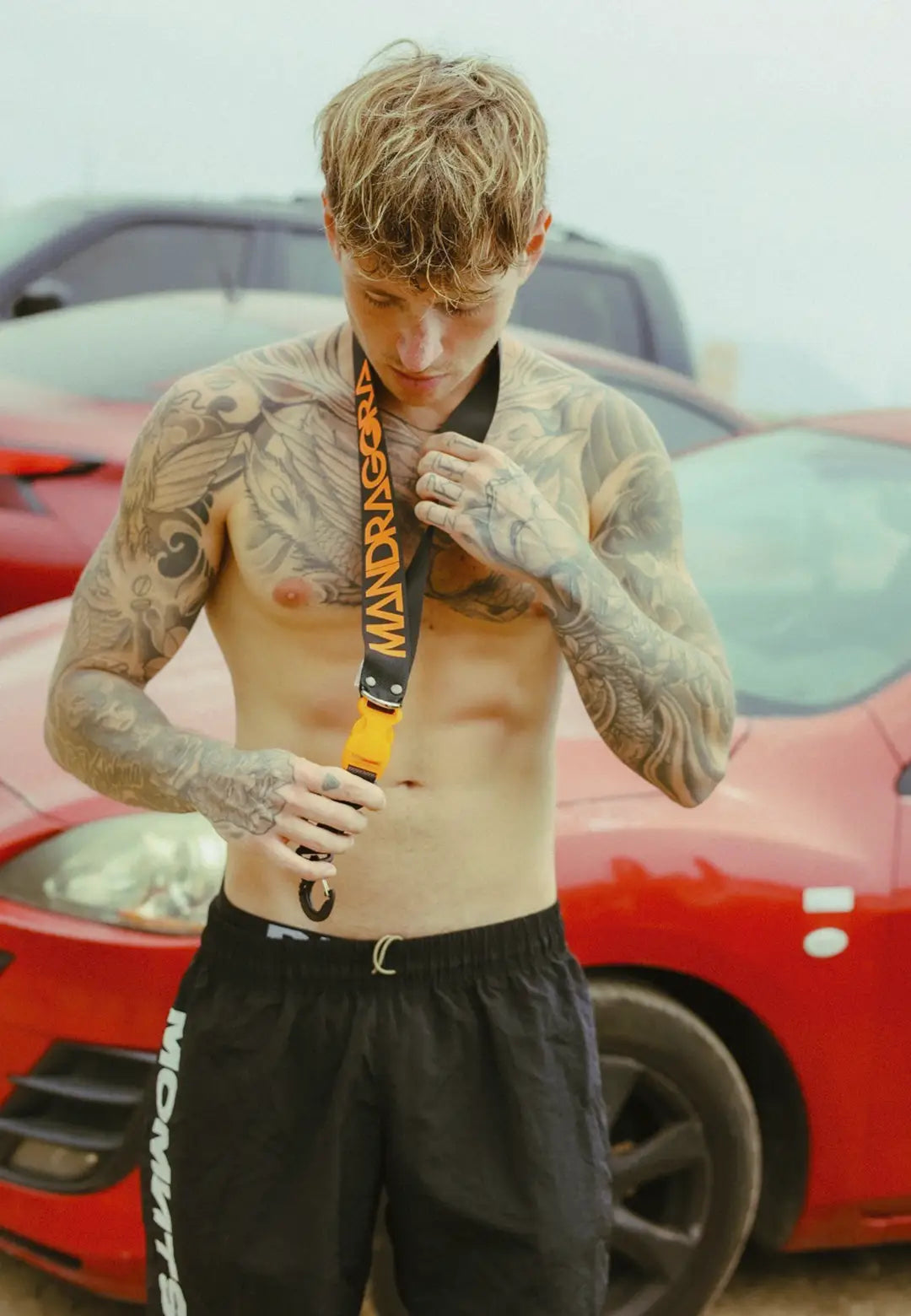 LY ENGANCHE MANDRAGORA