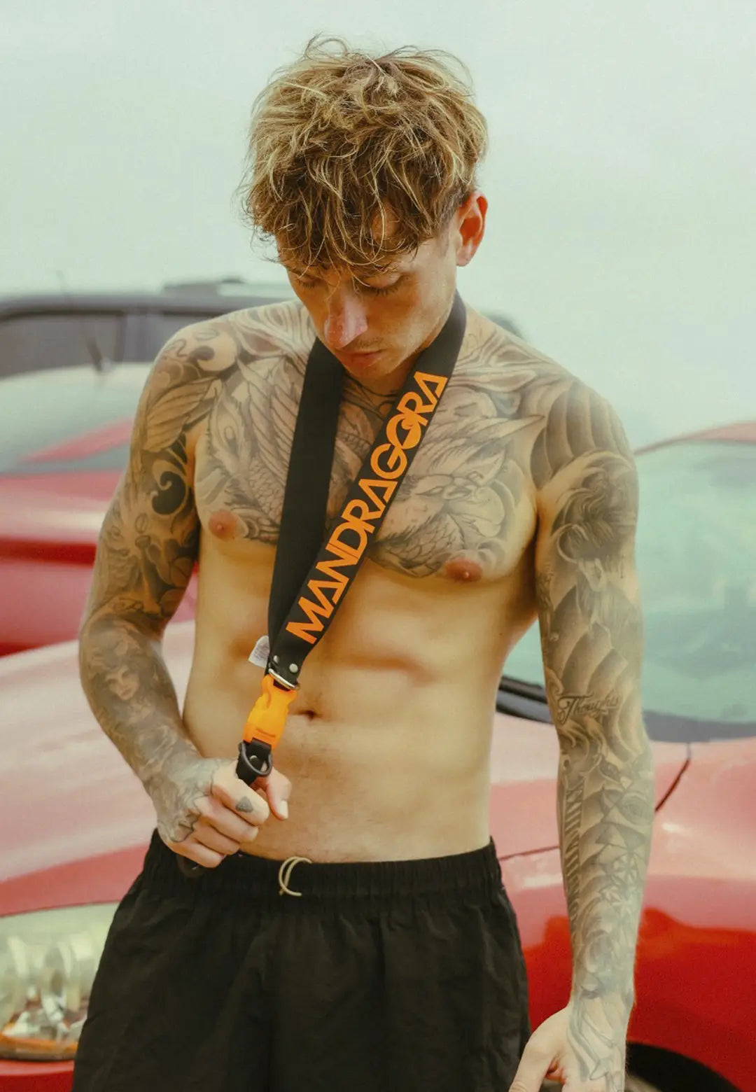 LY ENGANCHE MANDRAGORA