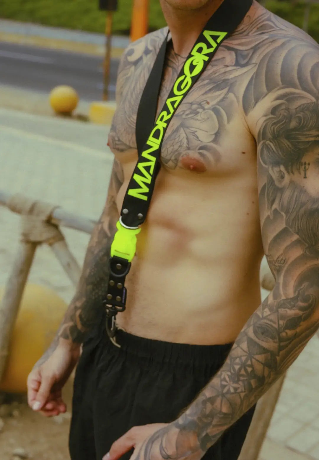 LY ENGANCHE MANDRAGORA